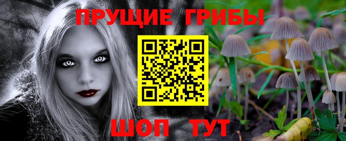 Городец  Псилоцибиновые грибы Psilocybe  Вход с VPN 